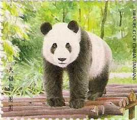 大貓熊-團團 / giant panda 