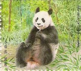 大貓熊-圓圓 / giant panda-Yuan Yuan